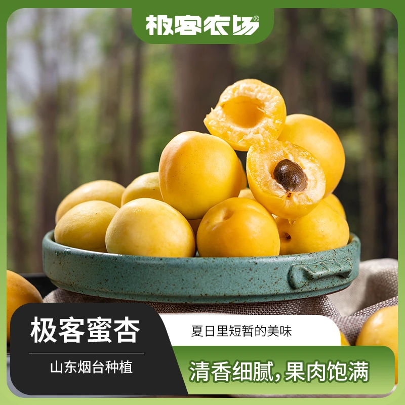 极客蜜杏后熟型先挑深黄的吃 放软后冰箱冷藏 软吃蜜甜硬吃带果酸