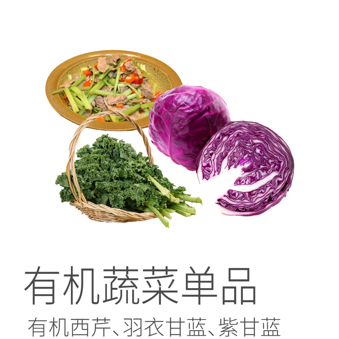 有机蔬菜单品| 西芹 羽衣甘蓝 紫甘蓝 有机环境种植2.4斤顺丰陆运