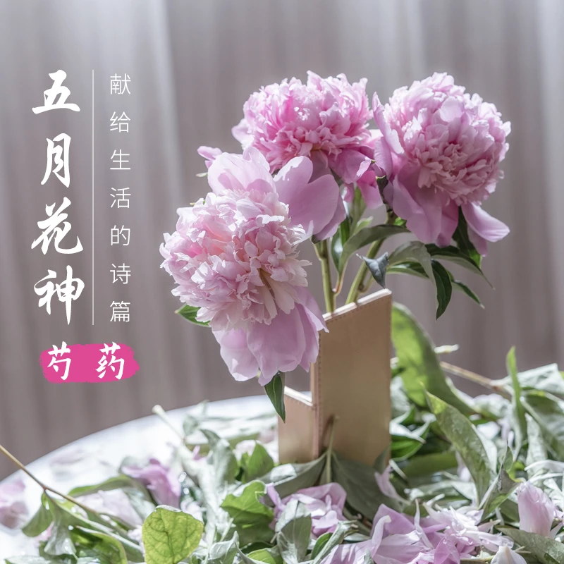 极客芍药花新鲜鲜花沙拉浅粉红富士紫红蓝富士深粉 五月花神 10支