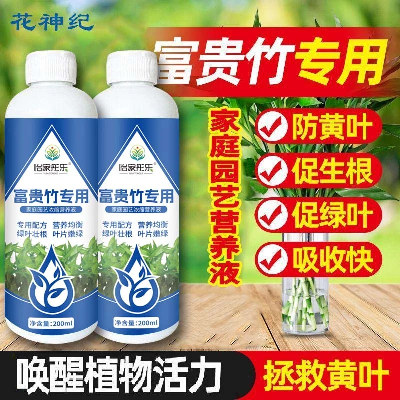 【富贵竹营养液】家用肥料富贵竹专用植物营养液水培烂根黄化抗性