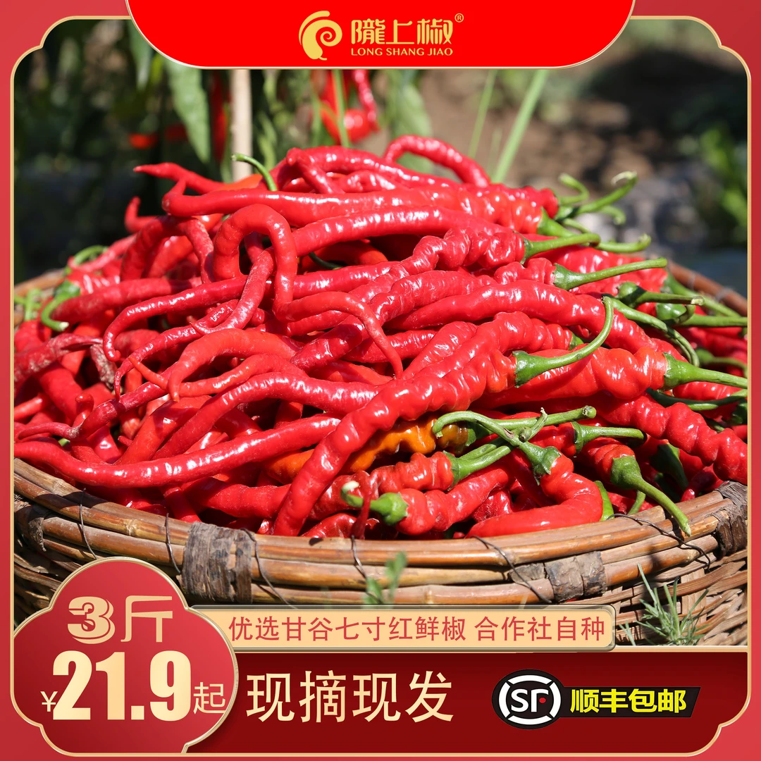 顺丰包邮陇上椒正宗甘谷七寸红新鲜红辣椒产地发货产品鲜香辣爽口