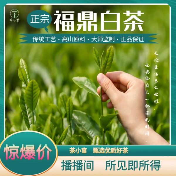 【临时链接】 福鼎白茶系列陈皮白茶 白九号 白色烟条X11
