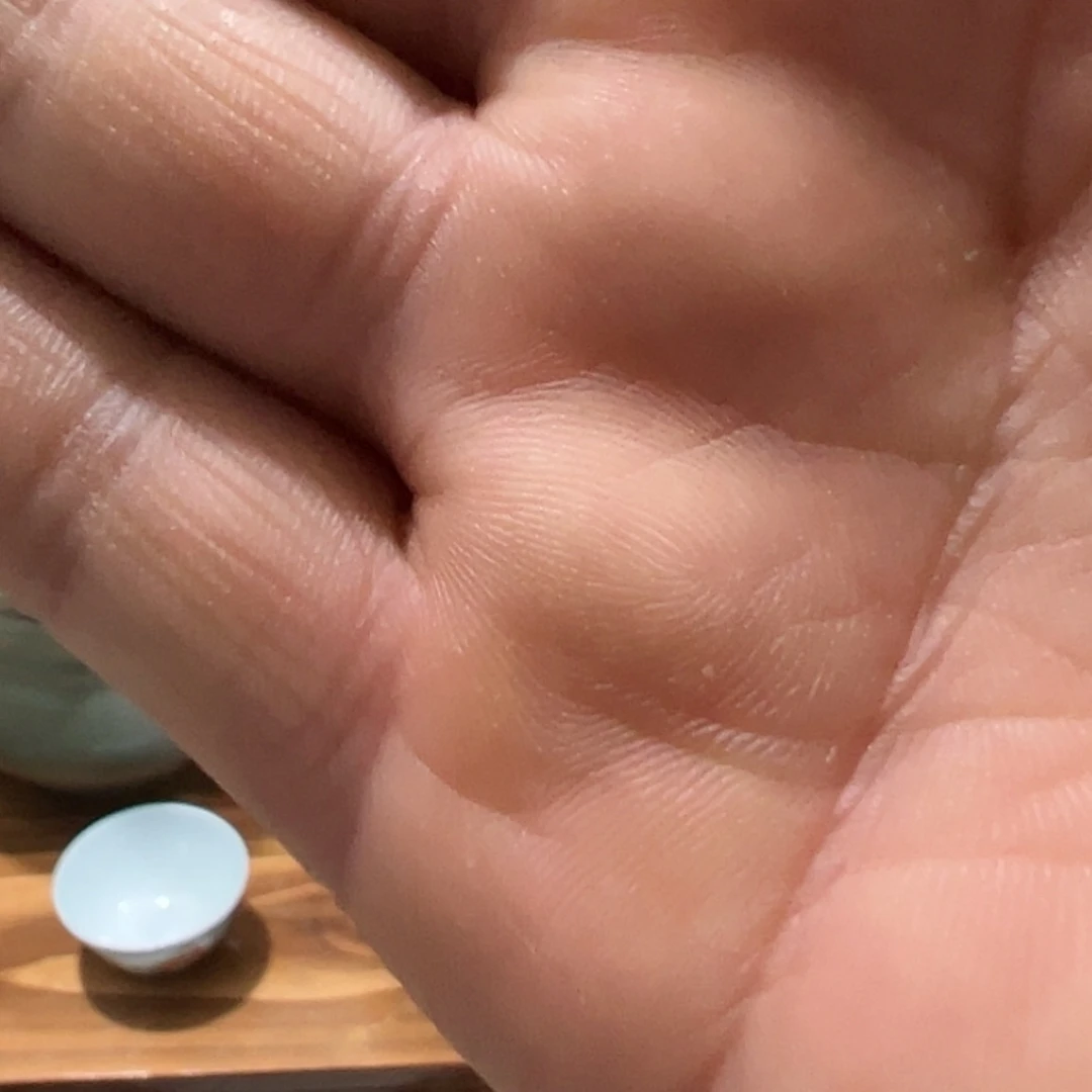 【闪购商品】密胺瓷片老*