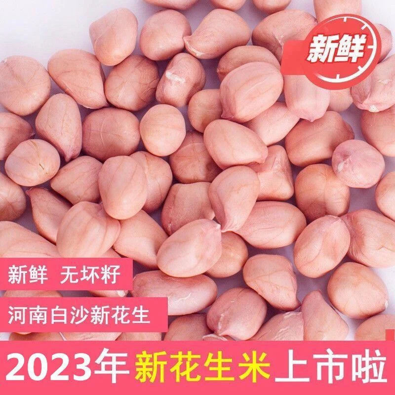 2024年新鲜花生米白沙花生精选大粒红皮花生榨油香脆花生仁