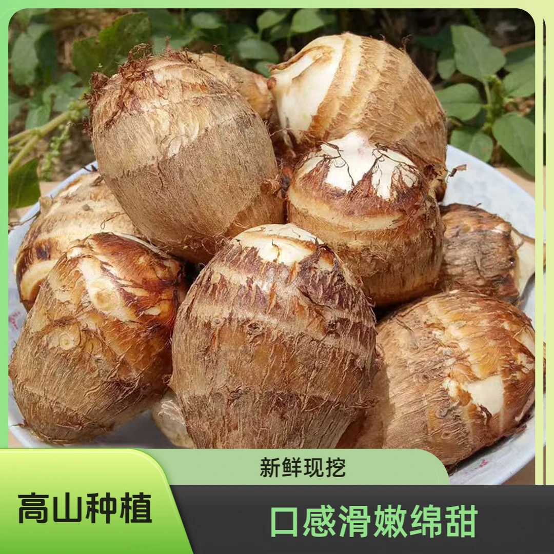 新鲜批发产地直发芋艿香芋毛芋荔浦贵州正宗山东牛奶小芋头广西