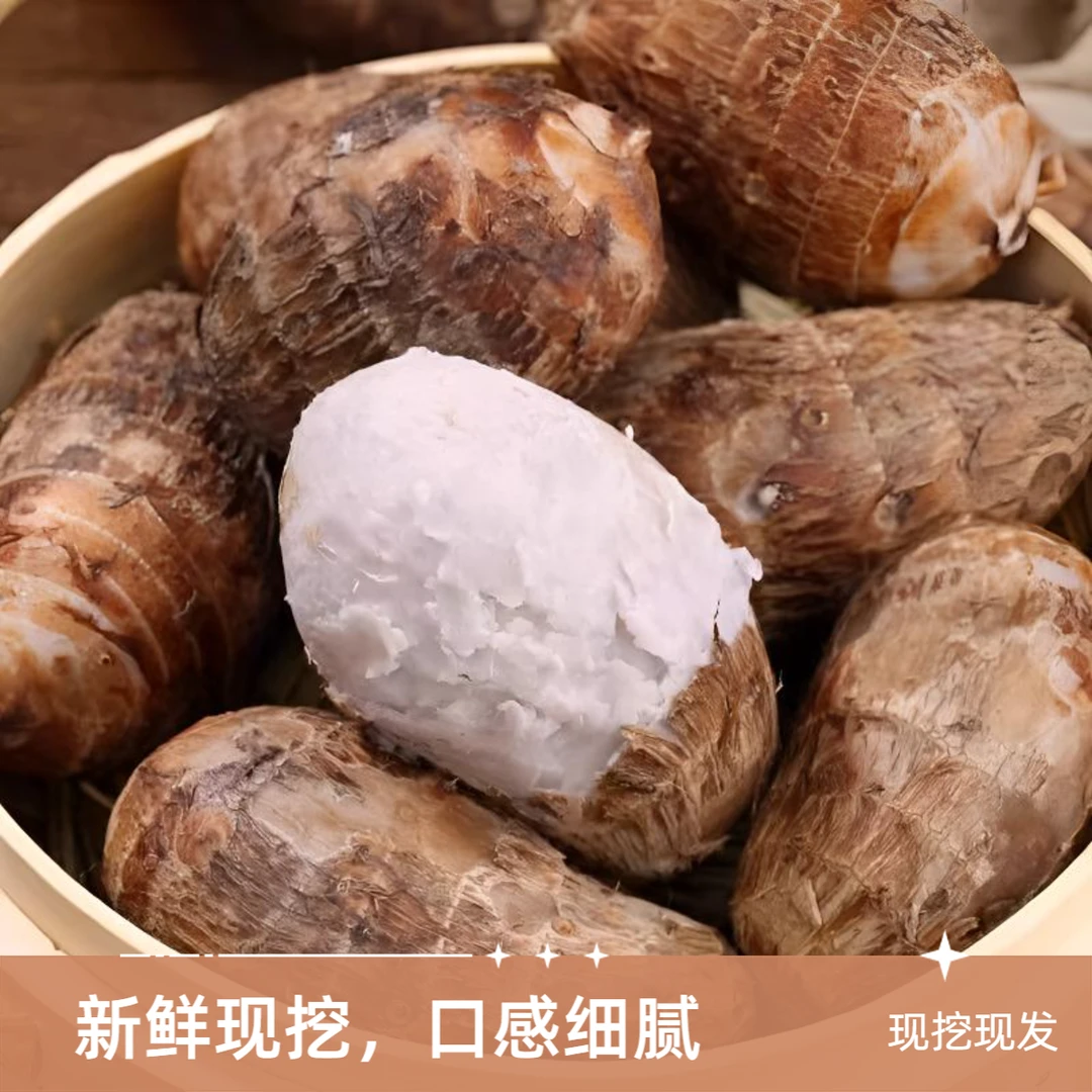 新鲜上市贵州新鲜芋头软糯芋头小芋头香糯毛芋头牛奶芋头高山正宗