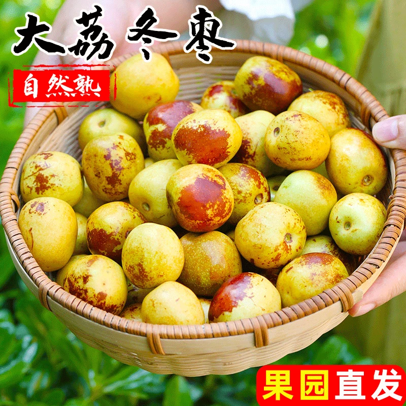 陕西大荔冬枣新鲜好吃当季现摘脆甜冬枣美味香甜肉厚爽口果园发货