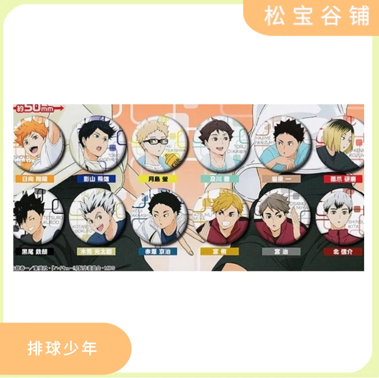 排球少年日谷 热身训练扭蛋吧唧 现货盲袋代拆