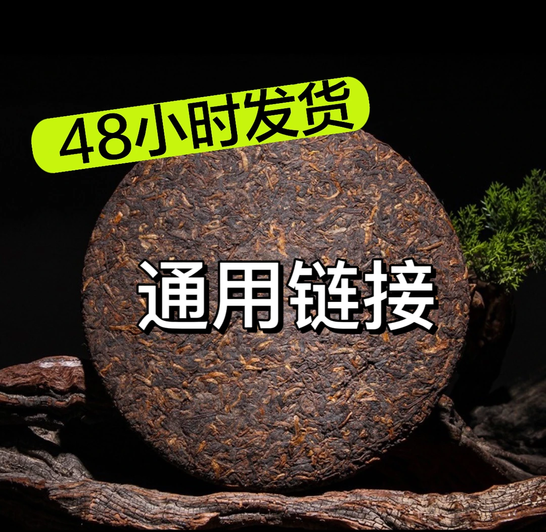2024年 迷帝 普洱茶  生茶   饼