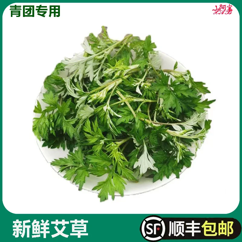 艾草新鲜食用蔬菜现摘清明草粑粑青团1斤顺丰包邮艾叶新鲜艾草叶