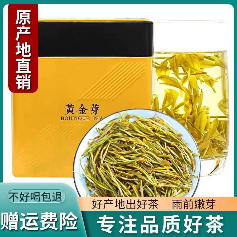 2023新茶黄金芽H298原产地明前嫩芽绿茶茶叶高山茶250g/500g