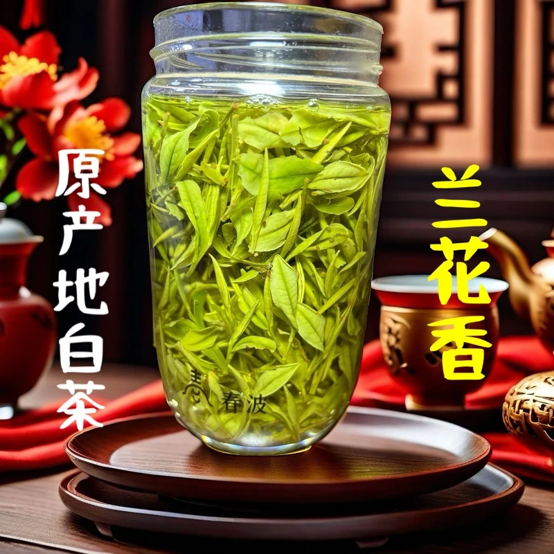 2025新茶白茶（B458兰香型）高山原产地浙江白茶明前嫩芽绿茶茶叶