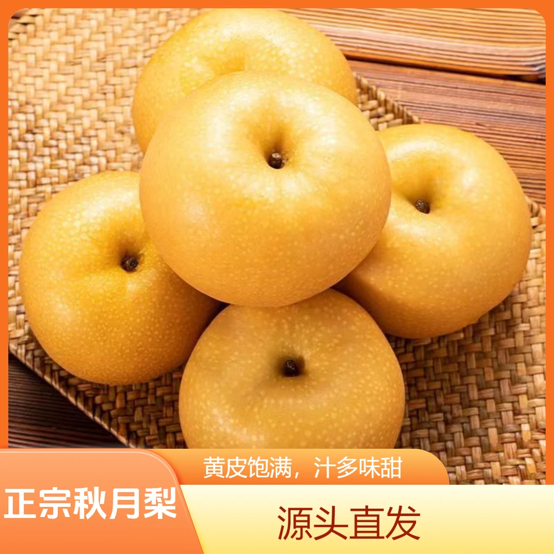 【正宗秋月梨】 冰糖梨 脆甜多汁 坏果包赔 果园源头发货
