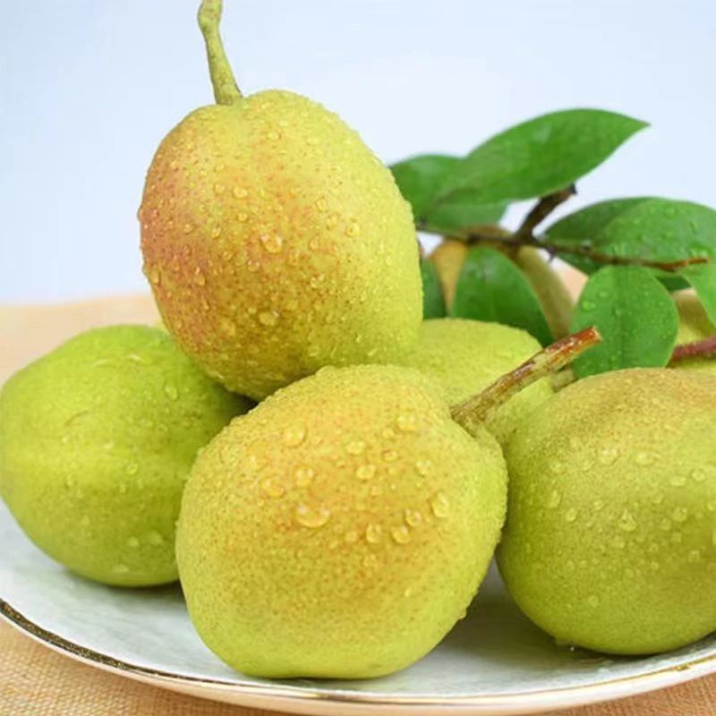 【正宗香梨】 酥脆爽口 爆甜多汁 应季梨子源头直发