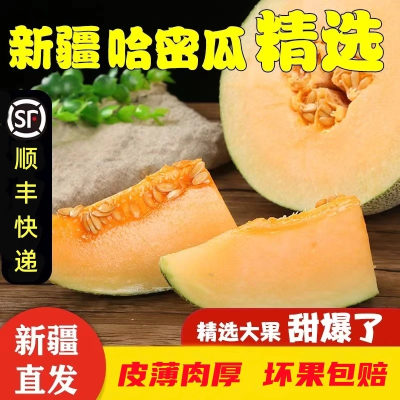 【顺丰快递】包邮新疆哈密瓜西州蜜25号4-5斤装