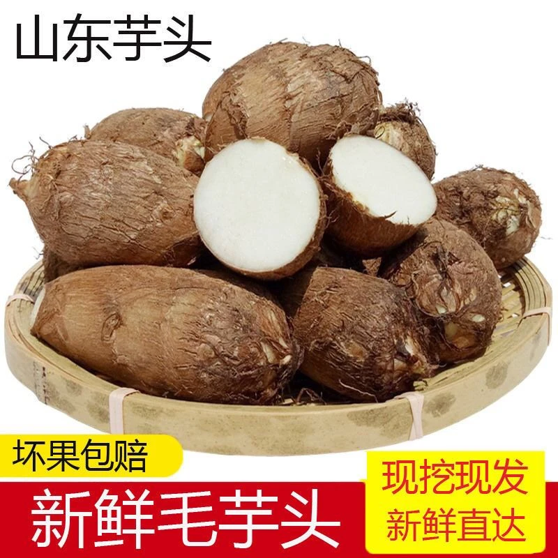 新鲜芋头山东新鲜毛芋头现挖小芋头农家蔬菜毛芋艿粉糯香1-3-5斤