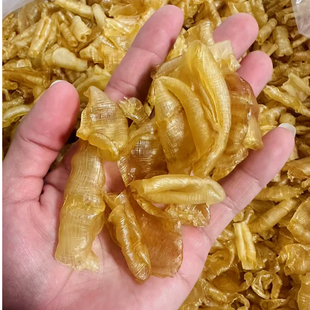 小头数红鳘胶 凤尾胶 胶原蛋白满满 炖甜品