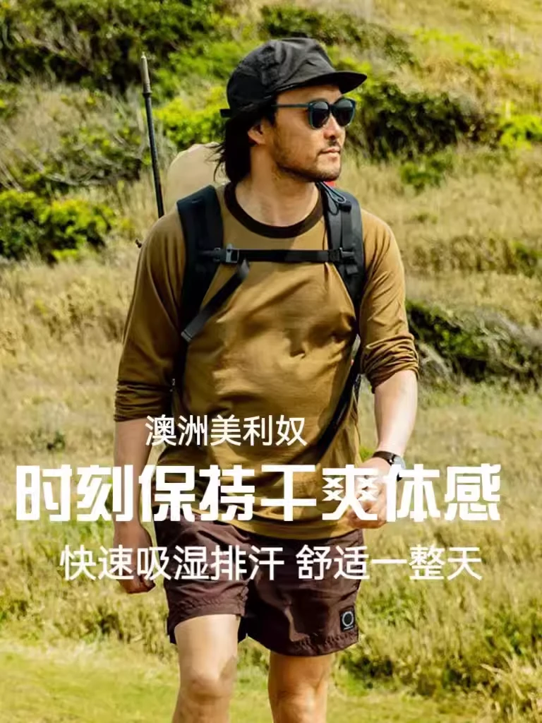 Z灰壳男美丽诺羊毛速干衣户外运动休闲衣四季打底美利奴羊毛长袖