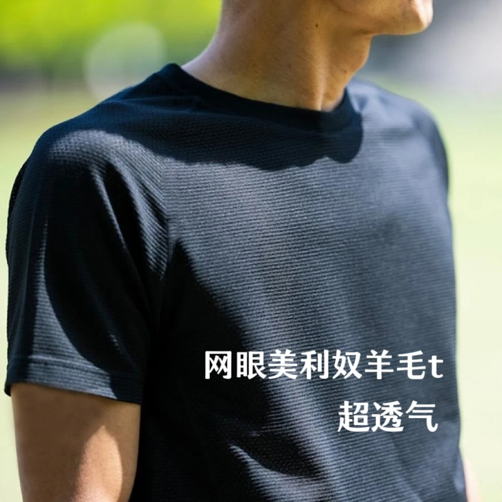 【达】灰壳美利奴羊毛速干透气男士网眼短袖美丽诺羊毛运动短袖