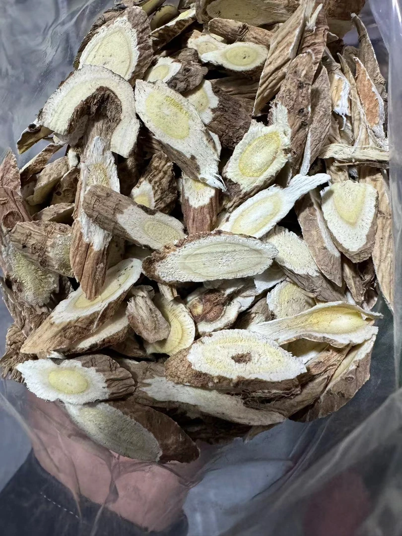 甘肃大山老黄氏小片