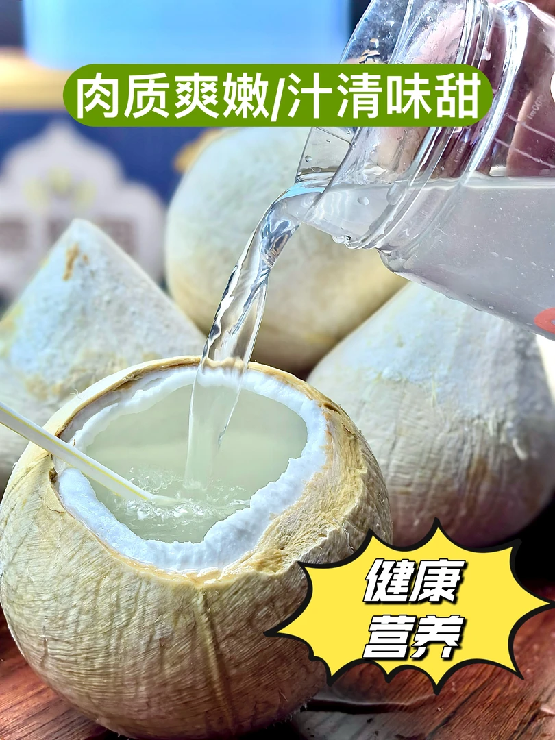 泰国丹嫩沙多椰皇  清甜多汁椰奶浓郁水质清澈 当季新鲜小奶椰