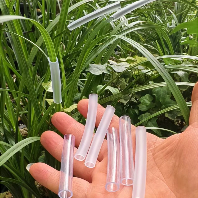 兰花蕙兰莲瓣兰春兰叶子折断防护套浇水大风吹兰叶折了复位保护套