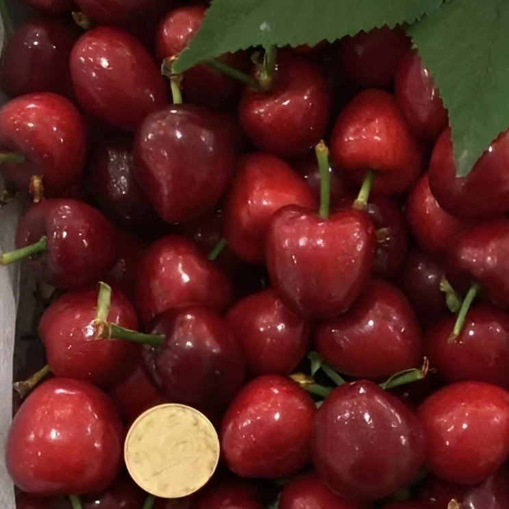 顺丰包邮，特价小个头樱桃，性价比高！