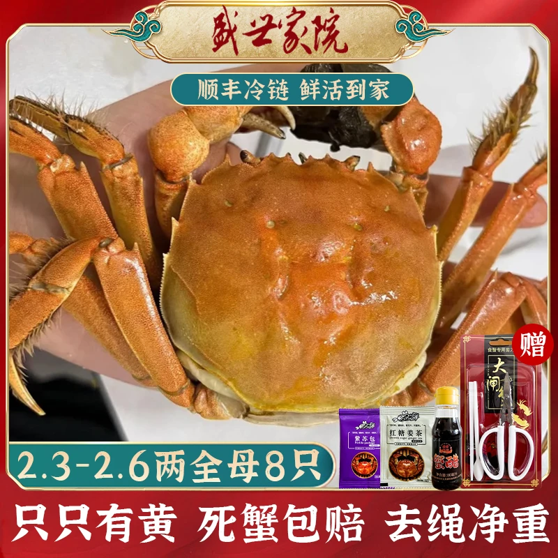 活蟹8只全母鲜活大闸蟹现货2.3-2.5两固城湖大闸蟹螃蟹特大母蟹