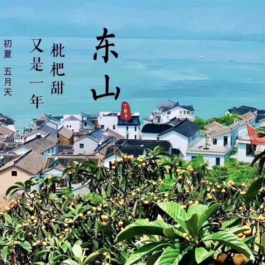 苏州东山白玉枇杷