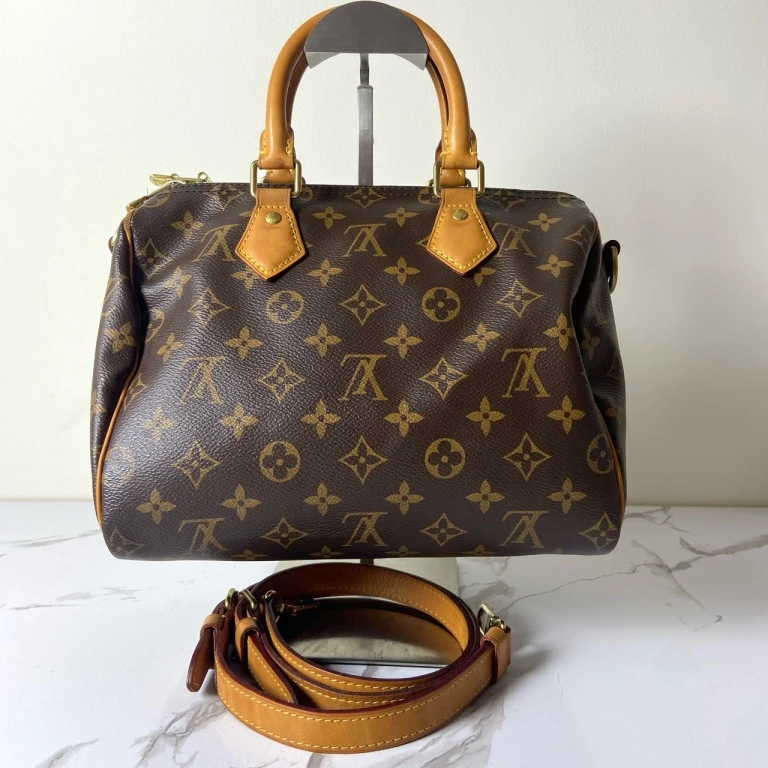 95新 LouisVuitton/路易威登 LV SP25手提包