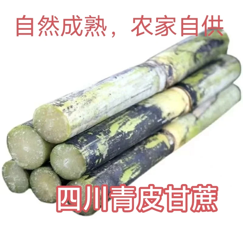四川青皮甘蔗农家自种的应季甘蔗