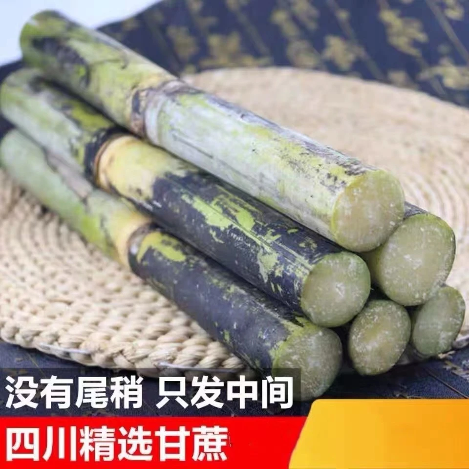 四川青皮甘蔗新鲜手撕脆甜新鲜现砍现发产地直发鲜甜爆汁应季水果