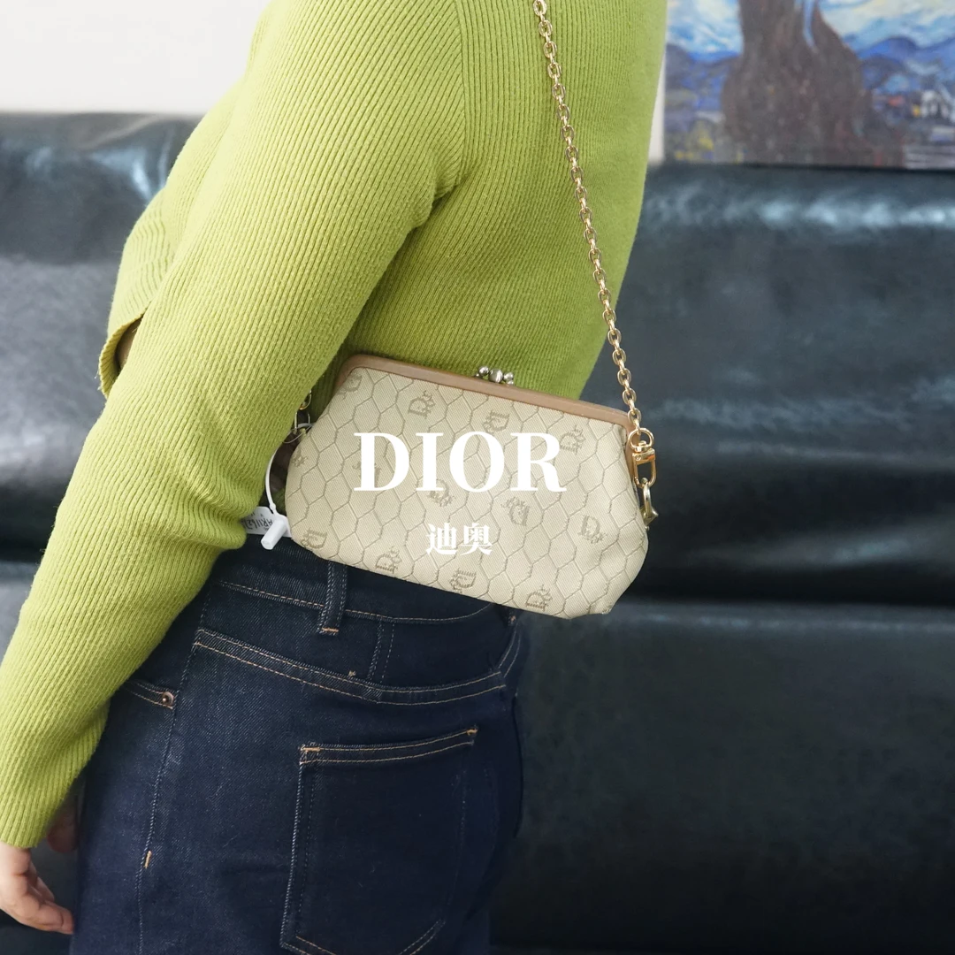 95新 DIOR/迪奥 单肩链条包/FYAR11627044/7044