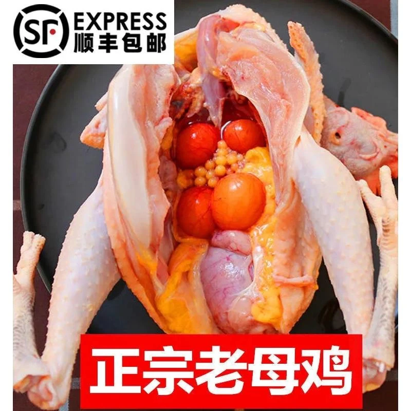 2只超大老母鸡正宗3年土鸡农家散养鸡走地鸡月子鸡现杀粮食散养