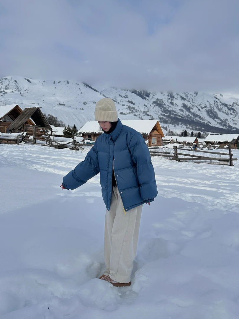 白白家-新国标90白鸭绒立领羽绒服#249036