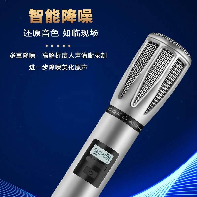 CQA3318专业话筒双只（冷漠代言）