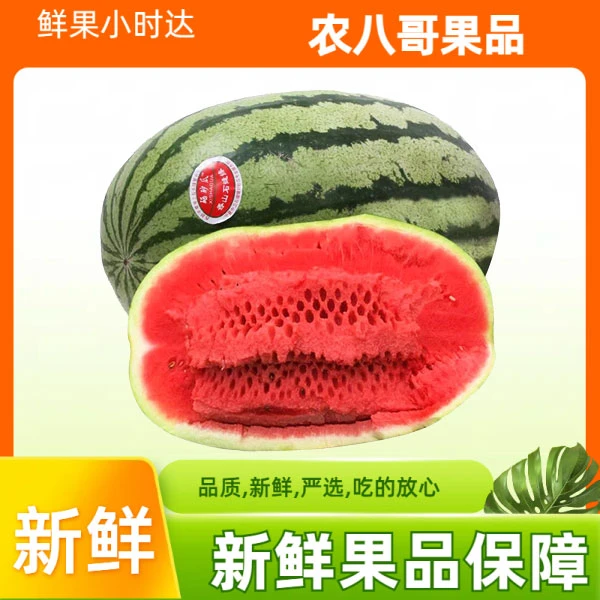 【新品上市】宁夏硒砂瓜脆甜多汁好吃不贵多规格5-6/10-12斤(包邮到家)