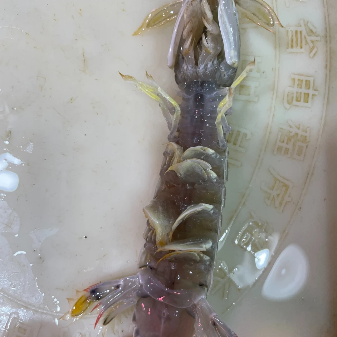 渤海大个头皮皮虾，公虾爬,2斤/份起