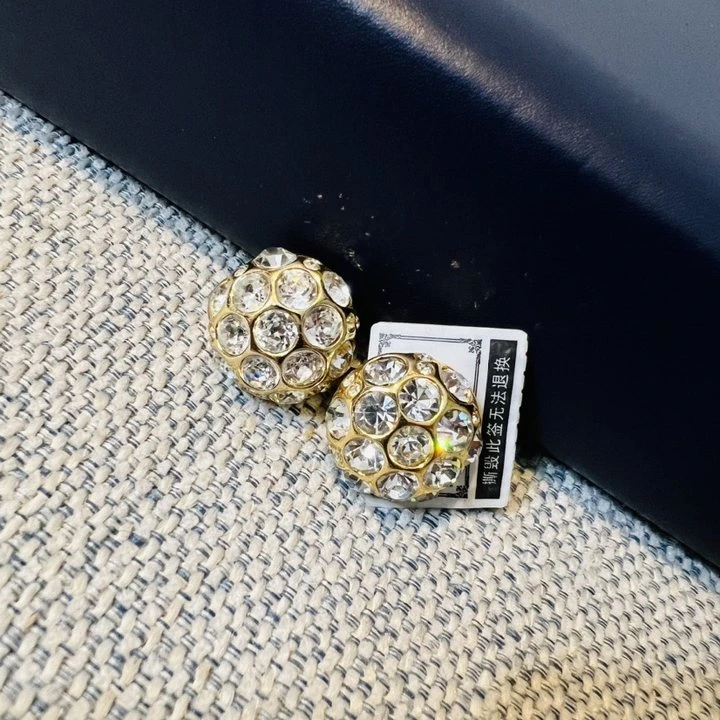 95新 DIOR/迪奥 耳钉/J04