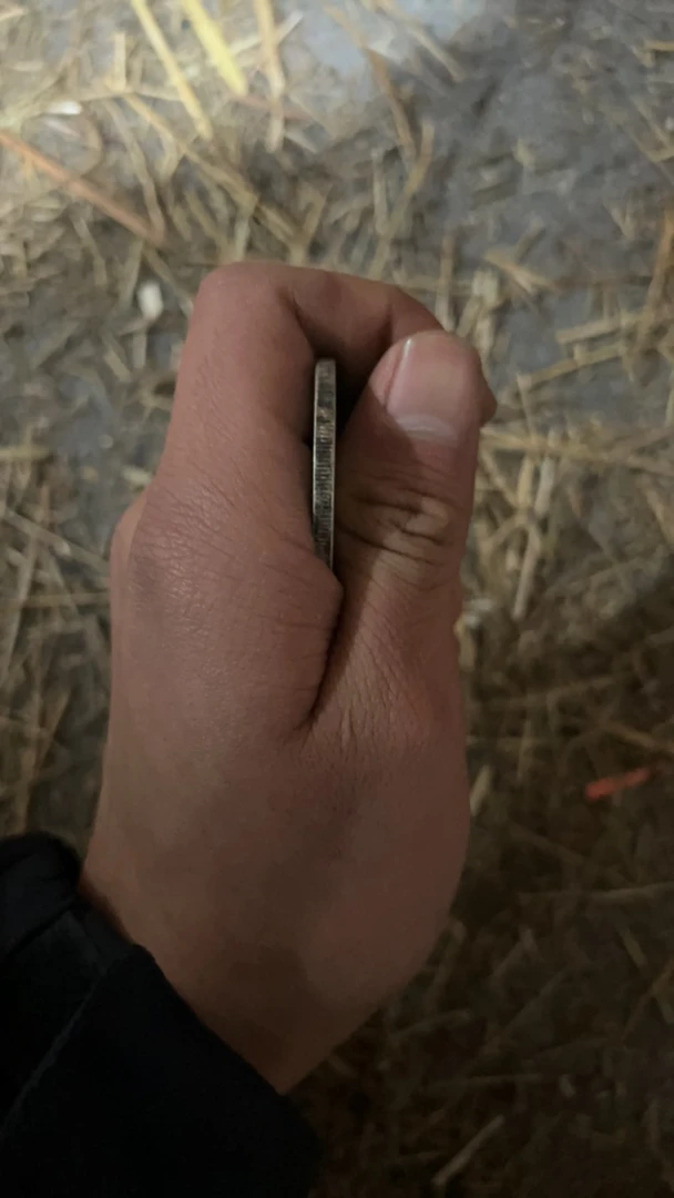 【闪购商品】110单个头摆件一个