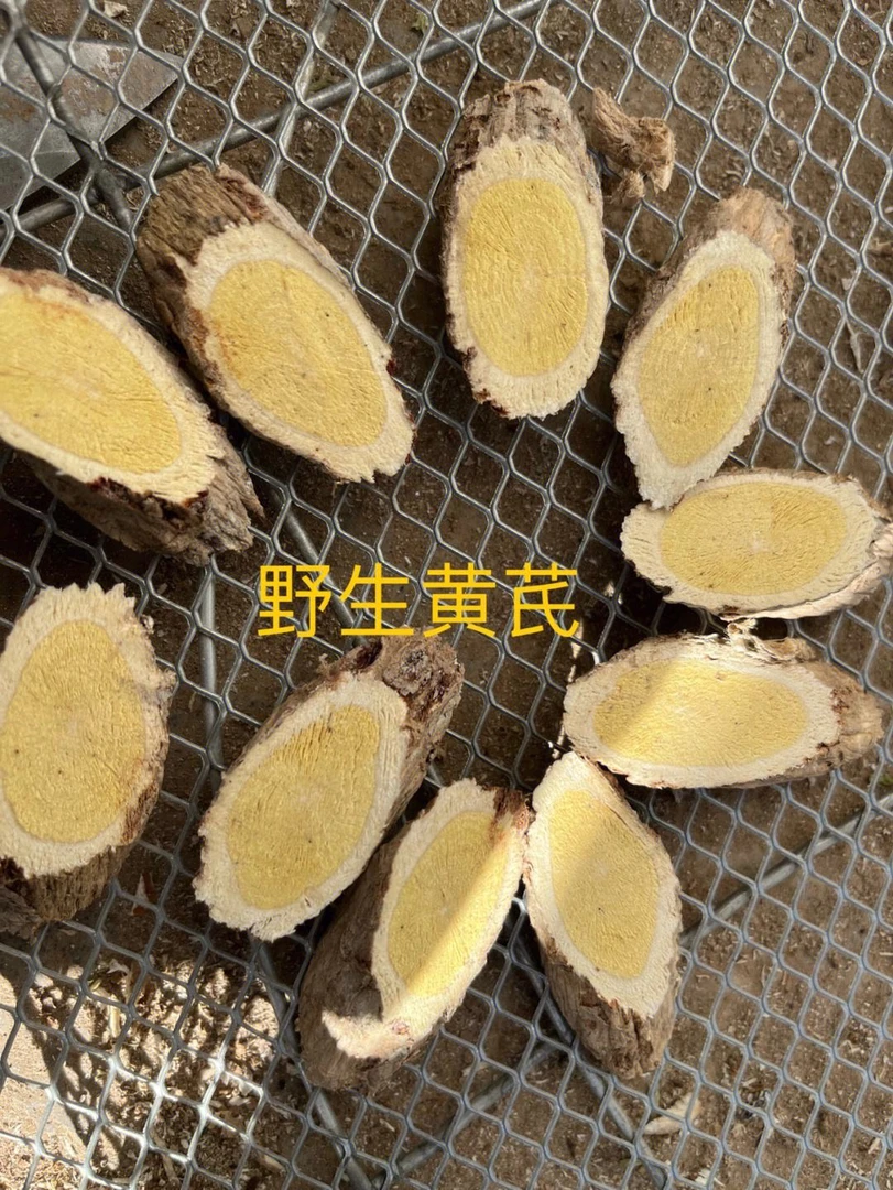甘肃岷县野生黄芪侧片250g包邮