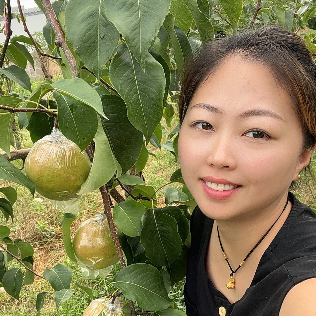 山西隰县玉露香梨3斤装