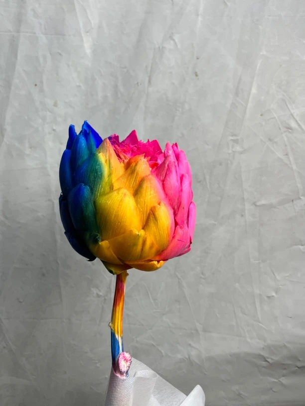 蔷薇恋人【洋蓟彩虹】永生花