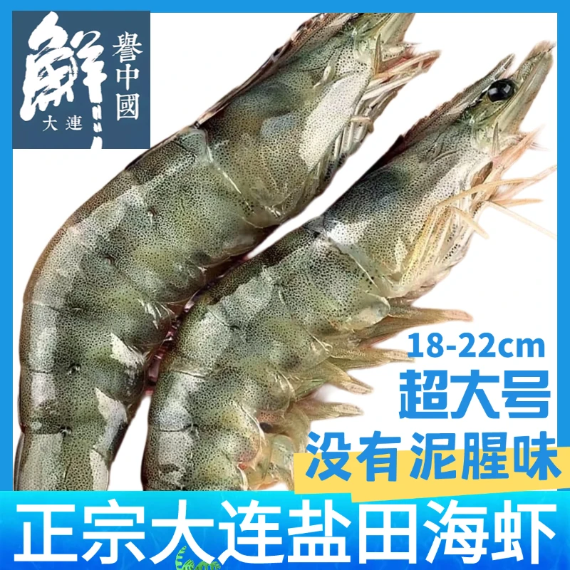 大连盐田大虾鲜活速冻2030特大号海虾对虾青虾净重3.3斤冷水海鲜