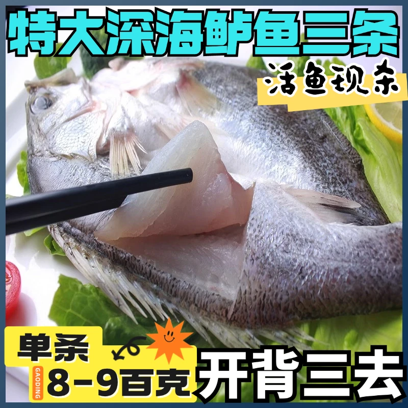深海鲈鱼特大三去开背活杀清蒸烤鱼新鲜冷冻【800-900g/条】3条装