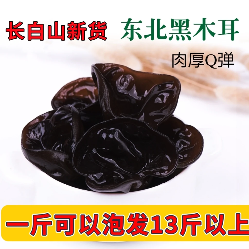 长白山椴木头茬秋木耳100克中碗无根无沙不碎净重可发2.6斤鲜木耳