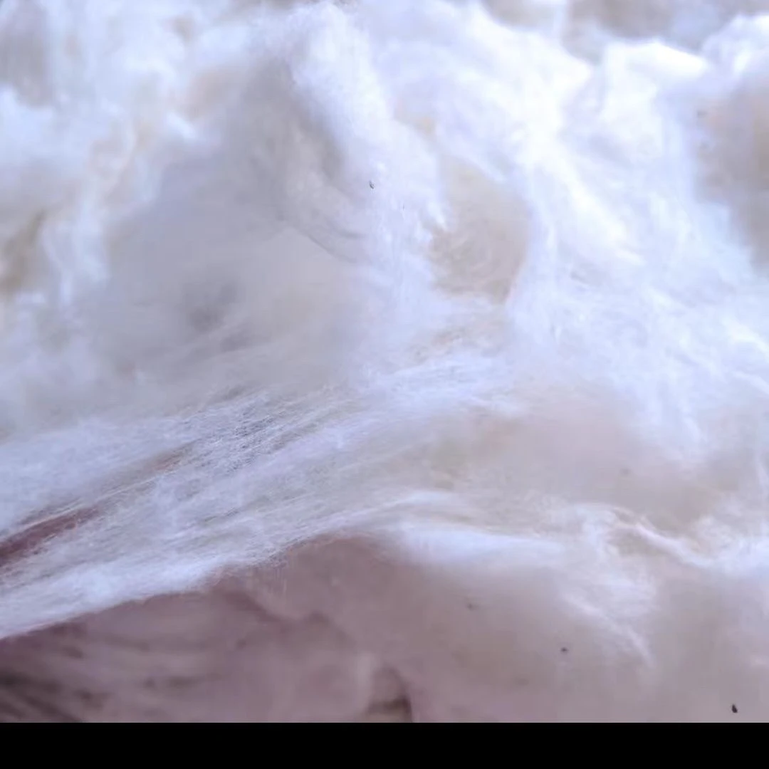 新疆长绒棉蓬松皮棉纯棉花脱籽皮棉散装棉花100%正宗新疆棉