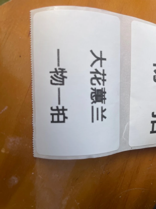 大花蕙兰、一物一拍，以直播间为主（消苞不售后介意勿拍！）
