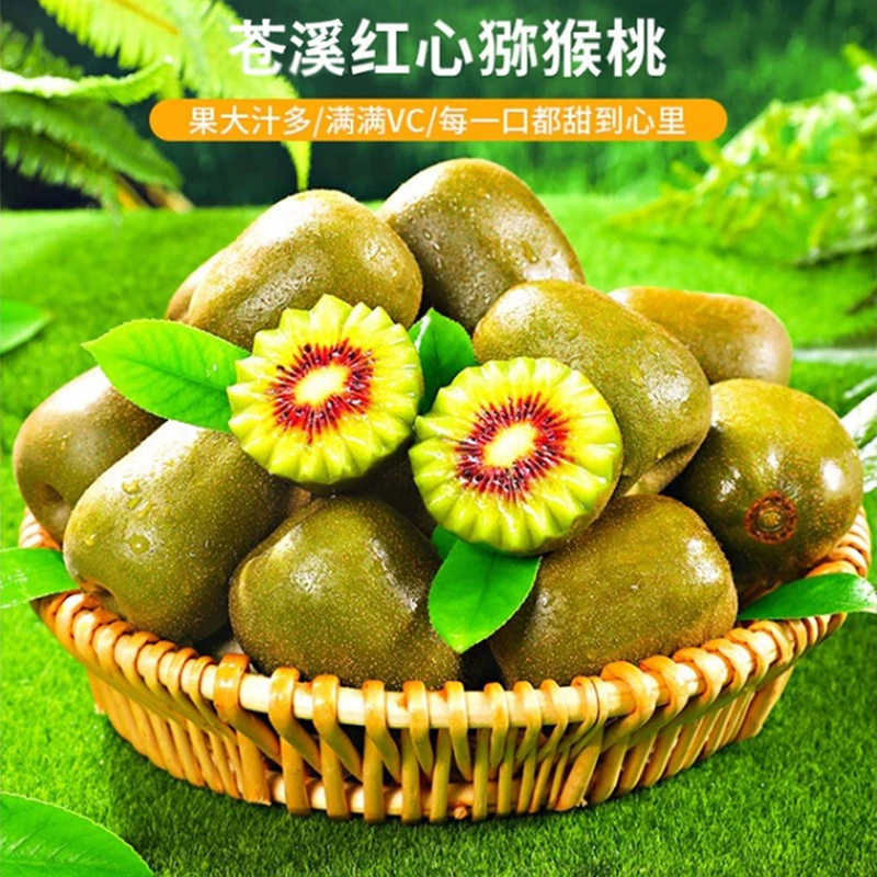 苍溪红心猕猴桃原产地直销四川广元特产新鲜水果严选香甜奇异果
