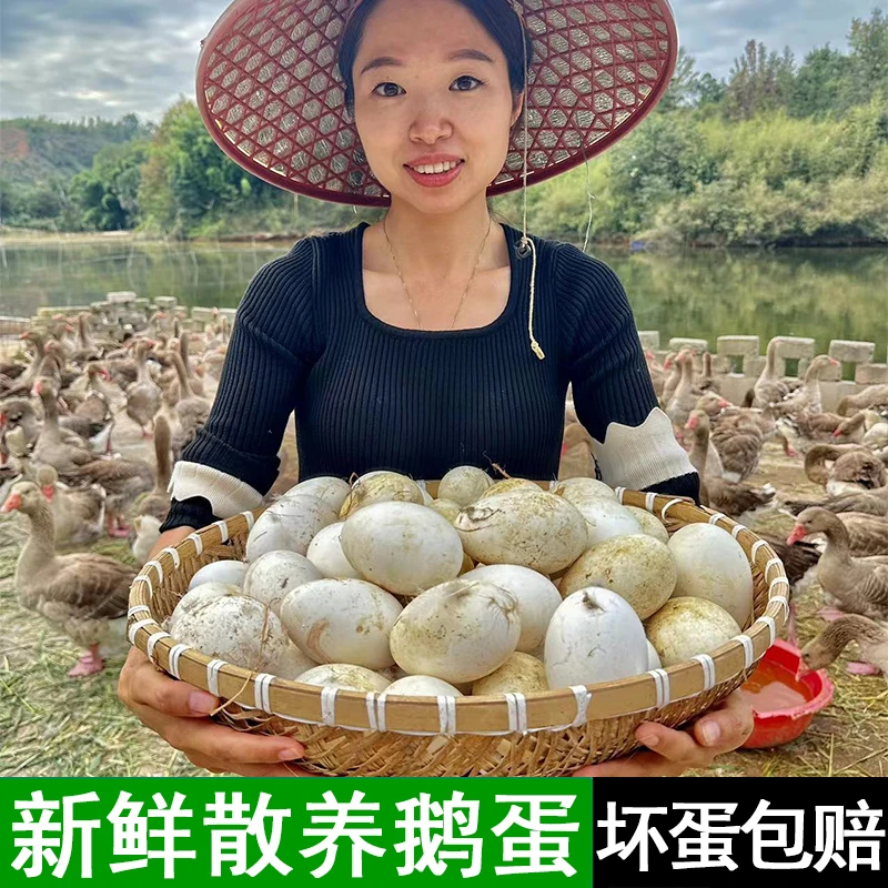 【九儿家】现捡现发新鲜散养鹅蛋营养一箱12个单个重120g左右